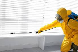 Indoor Pest Control in Shelton, WA